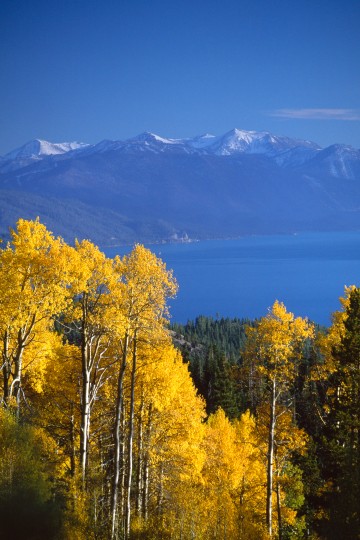 Fall Snow, Lake Tahoe, October 2006